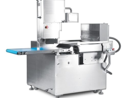 Quality automatic bandsaw machine for frozen meat and bone cutting